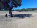 06072008112.jpg