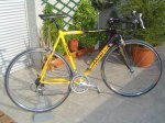DSC03580.JPG