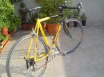 DSC03583.JPG
