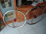 DSC00192.jpg