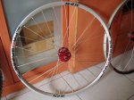 DSC00195.jpg