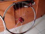 DSC00196.jpg