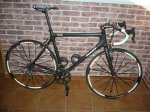Ritchey_0020_WCS_0020_White_0020_edt.jpg