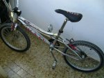 m_DSC00166.jpg