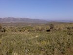 Imagen0470.jpg
