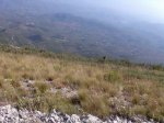 Imagen0530.jpg