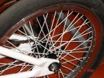 DSC00156_resize.JPG