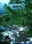 Desierto nevado 033_240x320.jpg