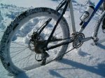 nieve0687wh.jpg