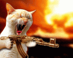 curro7ws.gif