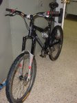 DSC00203.JPG