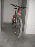IMGP1581PEQ.jpg