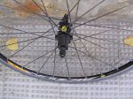 DSCN4610.jpg