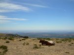 DSCN2985_800x600.jpg