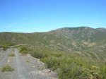 DSCN2990_800x600.jpg