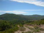 DSCN3008_800x600.jpg