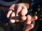 IMG_0754.jpg