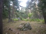 Foto9.JPG