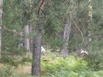 Foto11.JPG