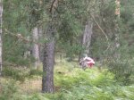 Foto12.JPG