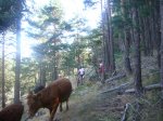 Foto15.JPG