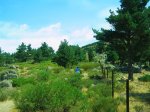 Senderitos Cercedilla by Mass (3) (Small).jpg