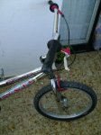 m_DSC00168.jpg