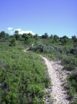 Senda de los mosquitos 025.JPG