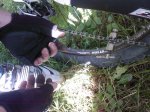 Foto0032.jpg