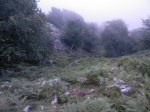 Foto0066.jpg