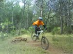 DSC00130.jpg