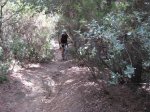 IMG_0476.jpg