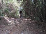 IMG_0475.jpg