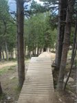 DSC07433.JPG