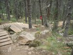 DSC07454.JPG