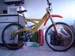 DSC00951.jpg