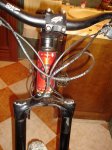 DSC01681.jpg