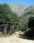 Sin-tÃ­tulo-5.jpg