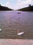 IMAG0040.jpg