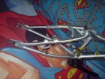 DSC00050.jpg