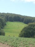 Camino santiago.2008 007.jpg