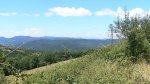 Camino santiago.2008 020.jpg