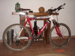 bici (8).jpg