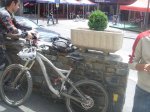 DSC07317.JPG