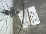 DSC00447.jpg