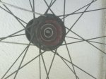 DSC00444.jpg