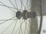 DSC00445.jpg
