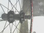DSC00446.jpg
