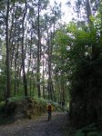 IMGP0963.JPG