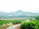 38_navarrete.jpg